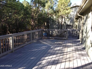 BACK DECK 2