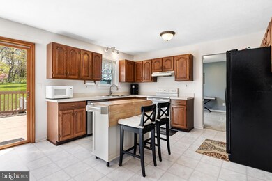 13283 Pleasant Plains Ct, New Freedom, PA 17349 - photo 7