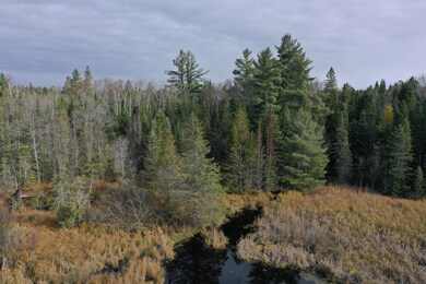 000 S Hendrie River Rd, Hulbert Township, MI 49748 - photo 7