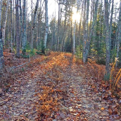 Lot view with driveway partially in
