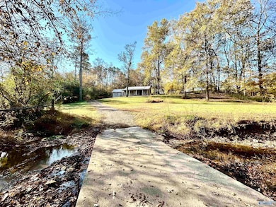 21521 Cairo Hollow Rd, Athens, AL 35614 - photo 2