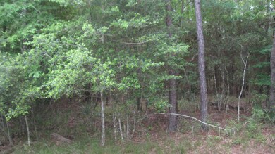 00 Cimmaron Rd, Stagecoach, TX 77355 - photo 2