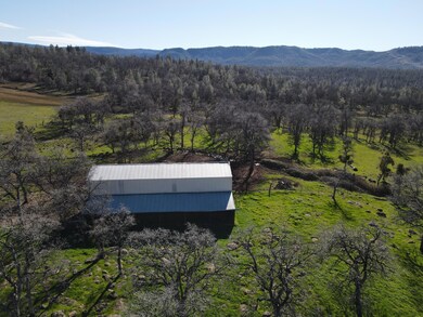 DJI_0412