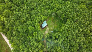 367 Martin Pierce Rd, Cub Run, KY 42729 - photo 4