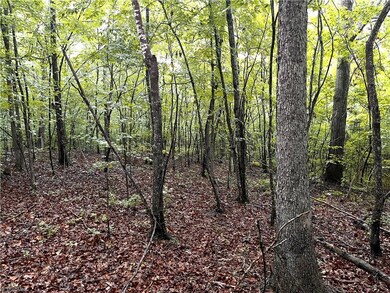 201 Bennett Farm Rd, Asheboro, NC 27205 - photo 3