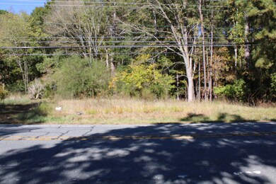 1411 Martin Luther King jr Blvd, Siler City, NC 27344 - photo 5