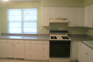 14 Edgewood Ct, Freeburg, IL 62243 - photo 7