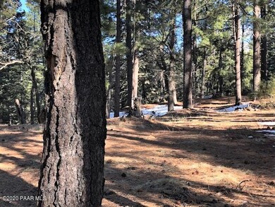 Love The Ponderosa Pines