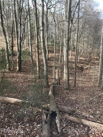 70 Propst Rd unit C, Candler, NC 28715 - photo 6