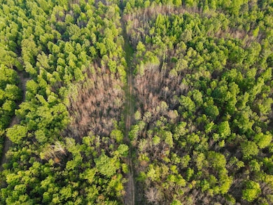 0 Hyde Rd, Phil Campbell, AL 35581 - photo 6