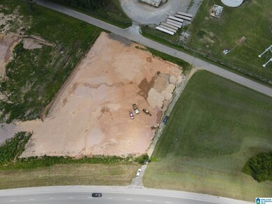 000 Coldwater Rd, Oxford, AL 36203 - photo 3