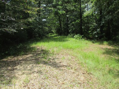 0 Park Place unit 4132027, McComb, MS 39648 - photo 4