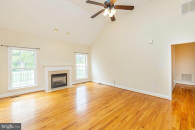 816 Island Farm Rd, Strasburg, VA 22657 - photo 7