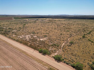 DJI_0559