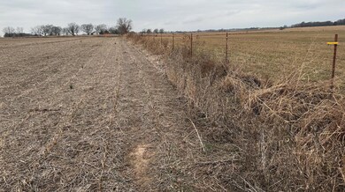 11465 W Farm Rd 76 Tract 5, Ash Grove, MO 65604 - photo 4