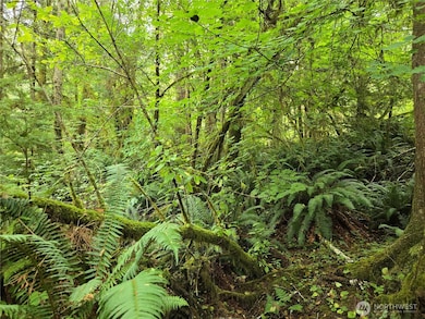 0 NKA Lund Rd, Cosmopolis, WA 98537 - photo 4