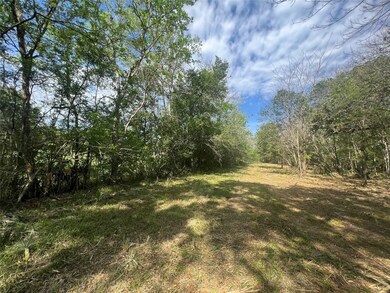 0 Cr 400 Tract 3, Brazoria, TX 77422 - photo 6