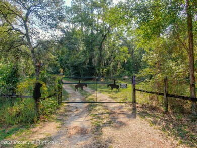 3025 N Page Ave, Hernando, FL 34442 - photo 3