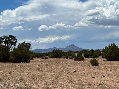 Ne4 10 Chain Ranch Rd, Ash Fork, AZ 86320 - photo 4