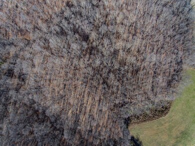 15145 Dodson Branch Hwy, Algood, TN 38501 - photo 4