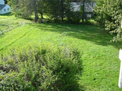 Yard/Garden.
