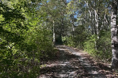 1 Crowberry Ln unit 19, Chilmark, MA 02535 - photo 3