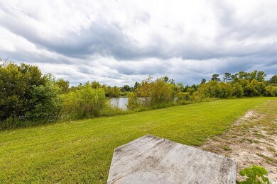 9100 Quarter Horse Dr, Nichols, SC 29581 - photo 7