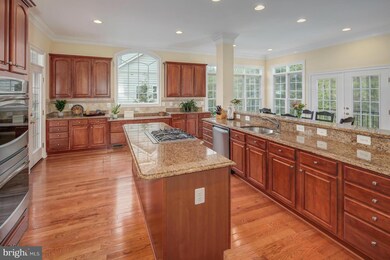 21991 Auction Barn Dr, Ashburn, VA 20148 - photo 6