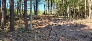 00 S Forman Rd, Baldwin, MI 49304 - photo 2