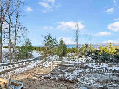 603 Lakeview Ave unit 1, Petoskey, MI 49770 - photo 6