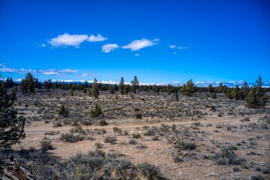 DJI_0461