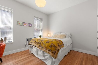 26 E Springfield St unit 1, Boston, MA 02118 - photo 4