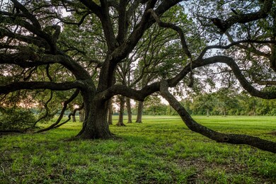 19220 Fm 442 Rd, Needville, TX 77461 - photo 7