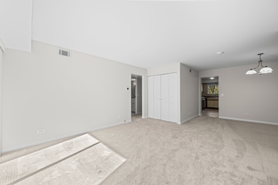 491 Leslie Ct unit 201, Des Plaines, IL 60016 - photo 3
