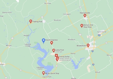 14075 Sandy Oaks Dr, Whitney, TX 76692 - photo 5