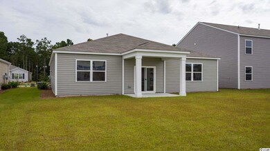 3928 Nandina Ct unit Lot 201- Macon B, Conway, SC 29526 - photo 4