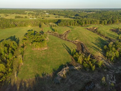 000 Dixon Rd, Licking, MO 65542 - photo 7