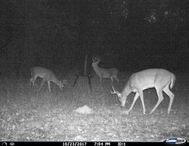 223 Southlake Rd, Saratoga, AR 71859 - photo 4