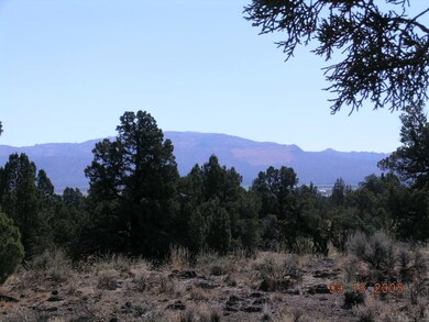 DSCN0382