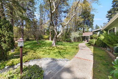 Front yard and path