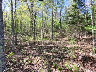 TBD Indian Valley Ln, Mammoth Spring, AR 72554 - photo 7