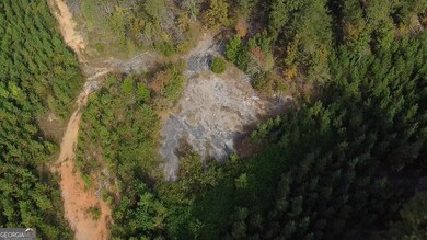 0 Possum Hollow Rd SE, Fairmount, GA 30139 - photo 5