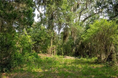 1304 Old Smokey, Crescent, GA 31304 - photo 6