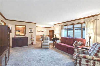 Living room featuring an ornamental molding, carpet, and a textured ceiling