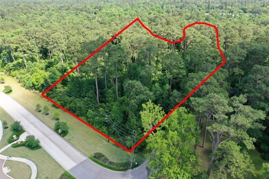 5.95 A0078 Brown James, Magnolia, TX 77354 - photo 4