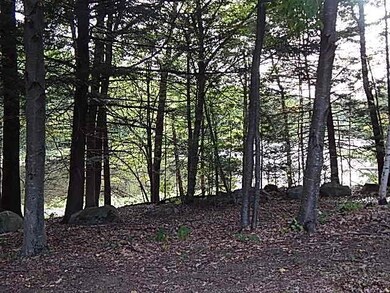 749 Borough Rd unit 258/46, Pembroke, NH 03275 - photo 6