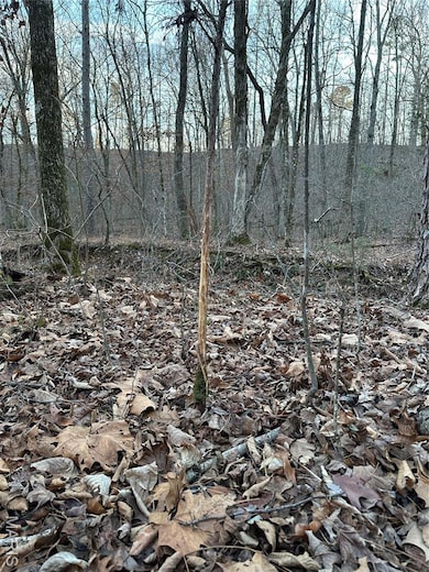 TBD County Road 426, Epps Township, MO 63901 - photo 3