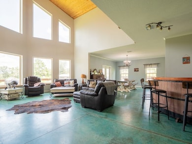 916 NW Brooks County Line Rd, Greenville, FL 32331 - photo 5