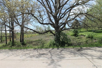 0 Oakridge Estate Block 2 Lot 40 unit MIS25078527, Saint Clair, MO 63077 - photo 3