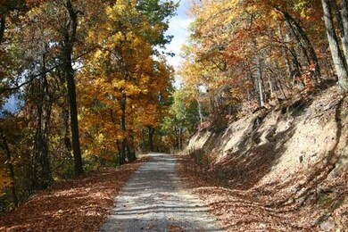 Existing Road thru Property 02